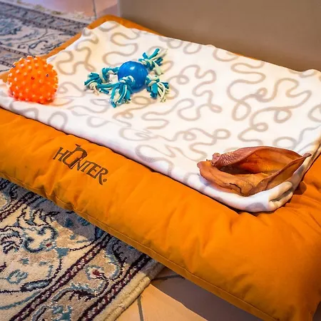 Apartahotel Chalet Verwall Luxury 3*